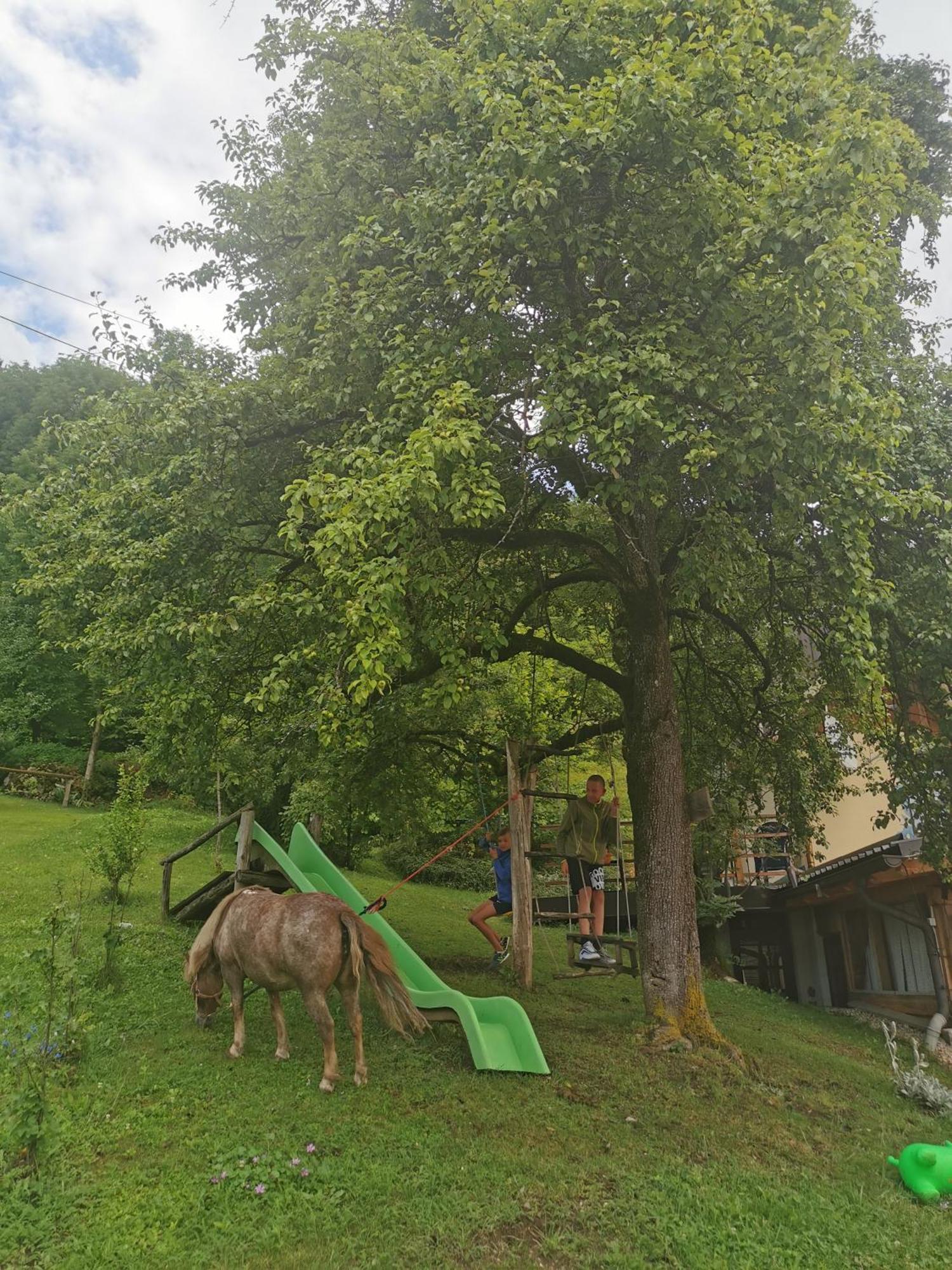 Slovenian Traditional Guest House Begunje na Gorenjskem Exterior photo